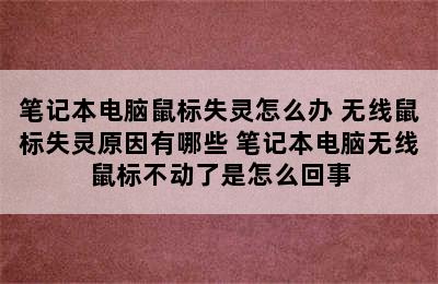 笔记本电脑鼠标失灵怎么办 无线鼠标失灵原因有哪些 笔记本电脑无线鼠标不动了是怎么回事